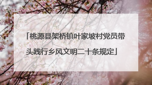 桃源县架桥镇叶家坡村党员带头践行乡风文明二十条规定