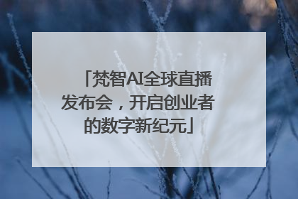 梵智AI全球直播发布会，开启创业者的数字新纪元