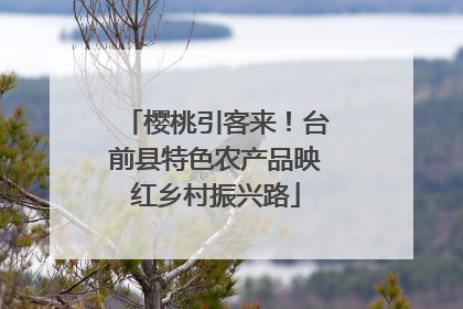 樱桃引客来！台前县特色农产品映红乡村振兴路