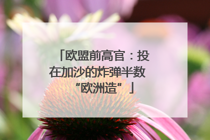 欧盟前高官：投在加沙的炸弹半数“欧洲造”