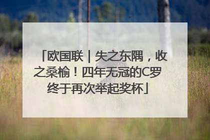 欧国联｜失之东隅，收之桑榆！四年无冠的C罗终于再次举起奖杯