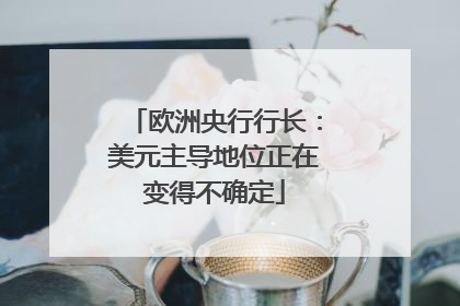 欧洲央行行长：美元主导地位正在变得不确定