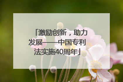 激励创新，助力发展——中国专利法实施40周年