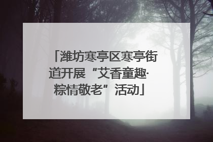 潍坊寒亭区寒亭街道开展“艾香童趣·粽情敬老”活动