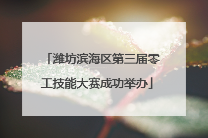 潍坊滨海区第三届零工技能大赛成功举办