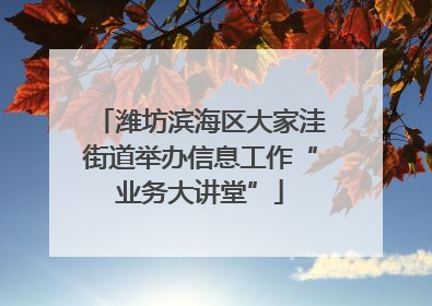 潍坊滨海区大家洼街道举办信息工作“业务大讲堂”