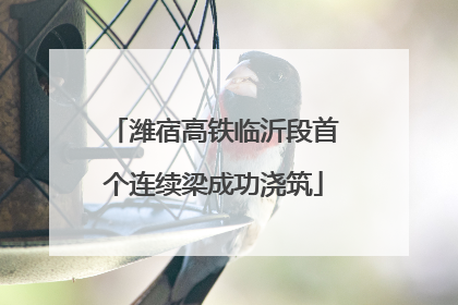 潍宿高铁临沂段首个连续梁成功浇筑