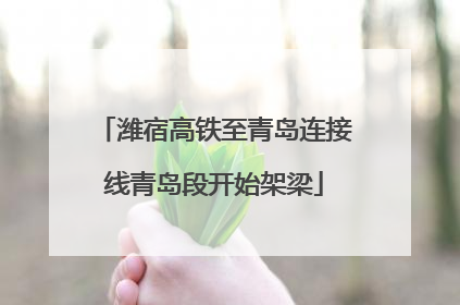 潍宿高铁至青岛连接线青岛段开始架梁