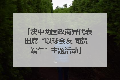 澳中两国政商界代表出席“以球会友·同贺端午”主题活动