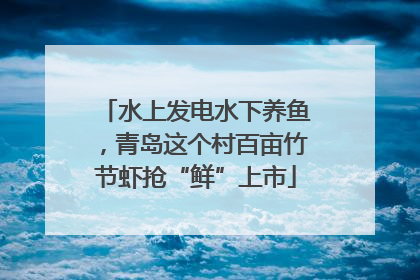 水上发电水下养鱼，青岛这个村百亩竹节虾抢“鲜”上市