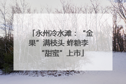 永州冷水滩：“金果”满枝头 蜂糖李“甜蜜”上市