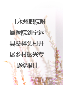 永州职院附属医院到宁远县桑梓头村开展乡村振兴专题调研