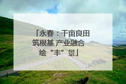 永春：千亩良田筑根基 产业融合绘“丰”景