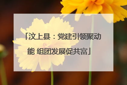 汶上县：党建引领聚动能 组团发展促共富