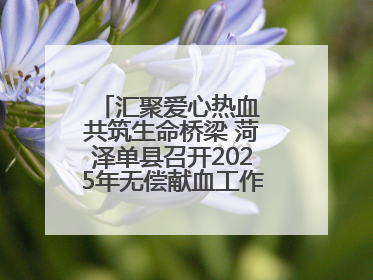 汇聚爱心热血 共筑生命桥梁 菏泽单县召开2025年无偿献血工作启动仪式