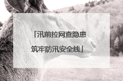 汛前拉网查隐患 筑牢防汛安全线