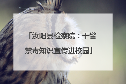 汝阳县检察院：干警禁毒知识宣传进校园