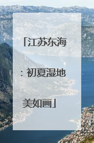 江苏东海：初夏湿地美如画