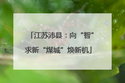 江苏沛县：向“智”求新“煤城”焕新机