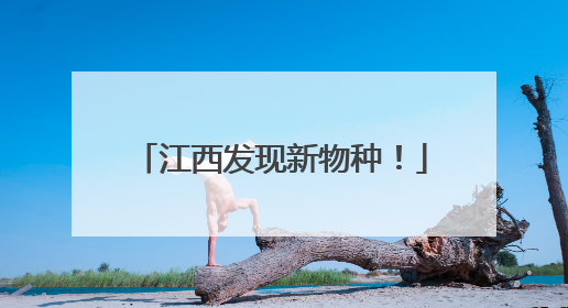 江西发现新物种！