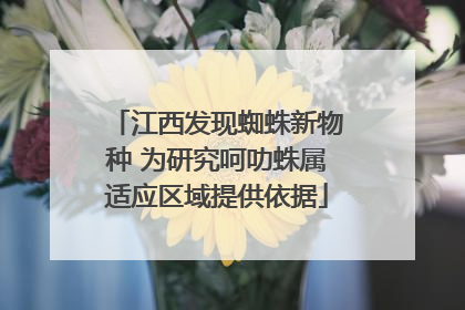 江西发现蜘蛛新物种 为研究呵叻蛛属适应区域提供依据