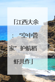 江西大余：“空中管家”护航稻虾共作