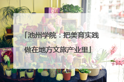 池州学院：把美育实践做在地方文旅产业里