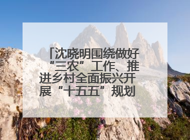 沈晓明围绕做好“三农”工作、推进乡村全面振兴开展“十五五”规划专题调研