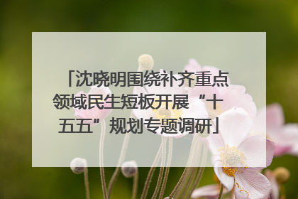沈晓明围绕补齐重点领域民生短板开展“十五五”规划专题调研