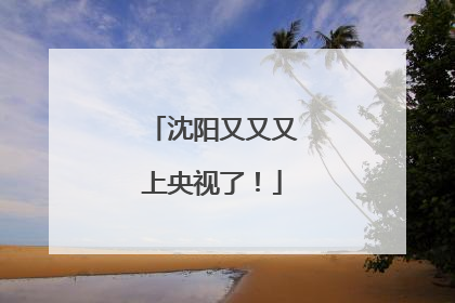 沈阳又又又上央视了！