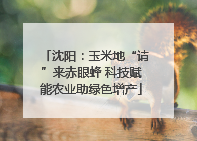沈阳：玉米地“请”来赤眼蜂 科技赋能农业助绿色增产