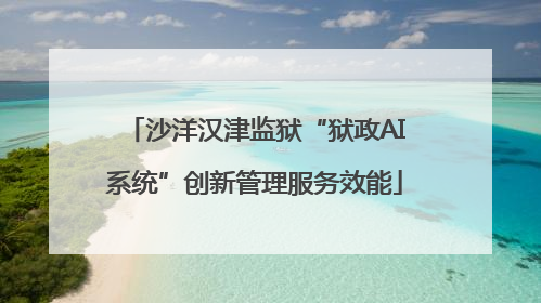 沙洋汉津监狱“狱政AI系统”创新管理服务效能