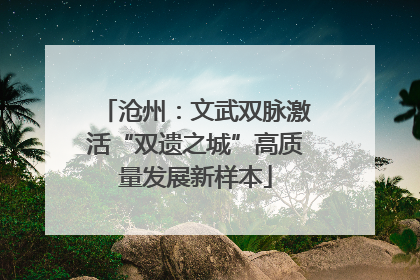 沧州：文武双脉激活“双遗之城”高质量发展新样本
