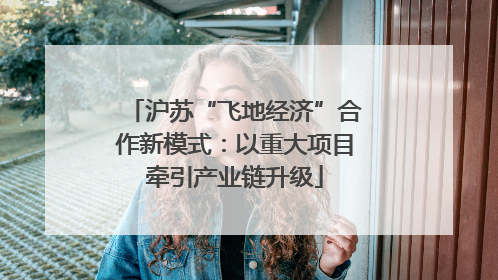 沪苏“飞地经济”合作新模式：以重大项目牵引产业链升级