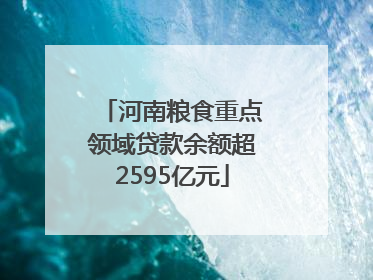 河南粮食重点领域贷款余额超2595亿元