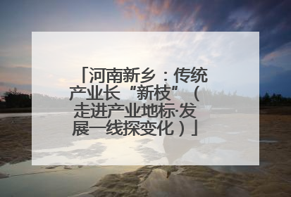 河南新乡：传统产业长“新枝”（走进产业地标·发展一线探变化）