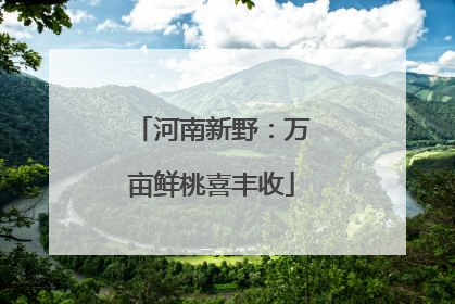 河南新野：万亩鲜桃喜丰收