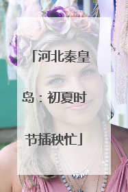 河北秦皇岛：初夏时节插秧忙