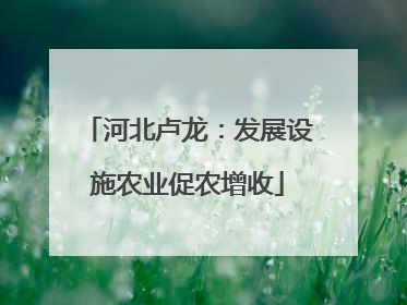 河北卢龙：发展设施农业促农增收