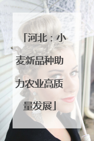 河北：小麦新品种助力农业高质量发展