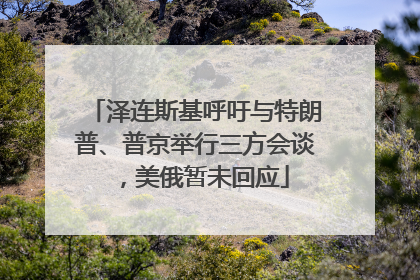 泽连斯基呼吁与特朗普、普京举行三方会谈，美俄暂未回应