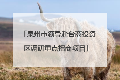 泉州市领导赴台商投资区调研重点招商项目