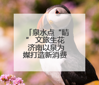 泉水点“睛” 文旅生花 济南以泉为媒打造新消费空间