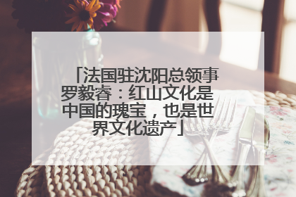 法国驻沈阳总领事罗毅睿：红山文化是中国的瑰宝，也是世界文化遗产
