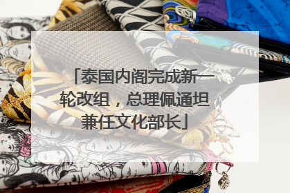 泰国内阁完成新一轮改组，总理佩通坦兼任文化部长