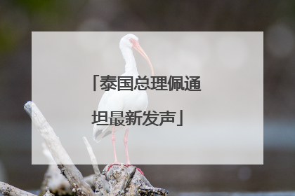 泰国总理佩通坦最新发声