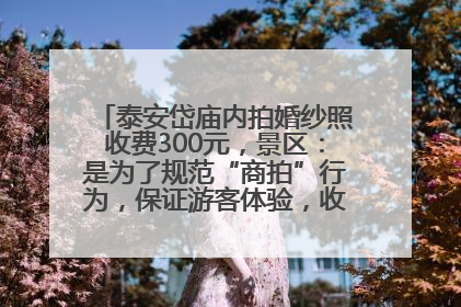 泰安岱庙内拍婚纱照收费300元，景区：是为了规范“商拍”行为，保证游客体验，收取费用全部上交国库