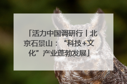 活力中国调研行丨北京石景山：“科技+文化”产业蓬勃发展
