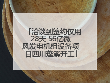 洽谈到签约仅用28天 56亿微风发电机组设备项目四川蓬溪开工