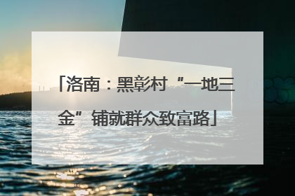 洛南：黑彰村“一地三金”铺就群众致富路